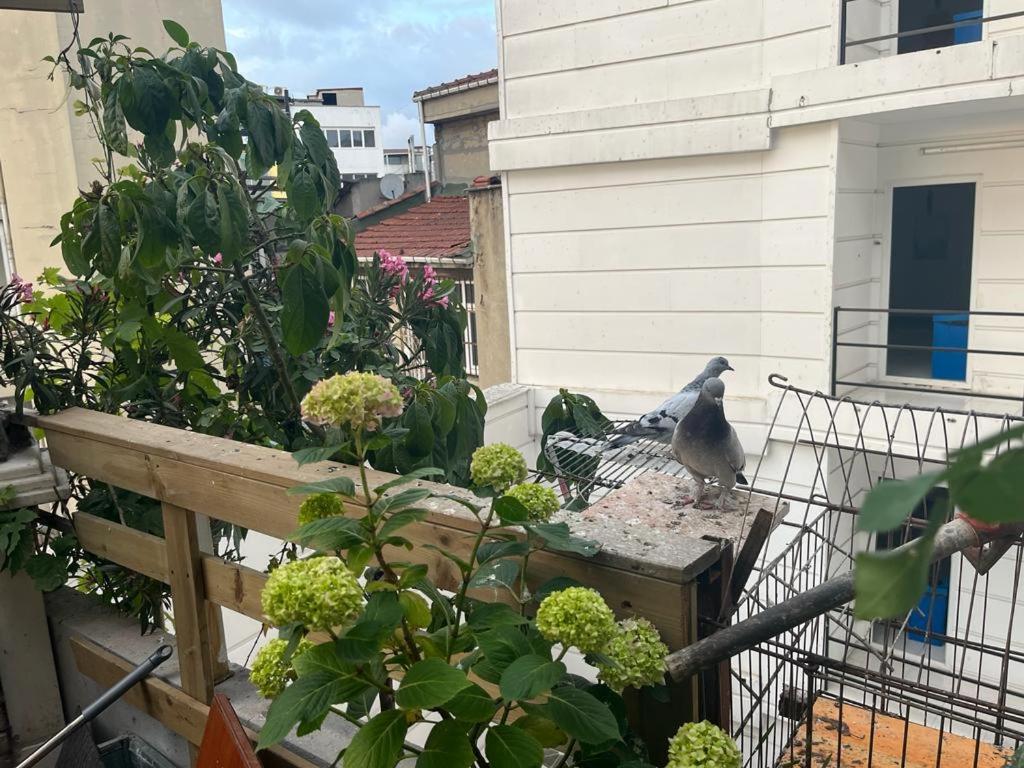 Central Apartment Kadikoy Terrace Bbq Close 2 Block Ferry Bull Metro Nighlife Istanboel Buitenkant foto