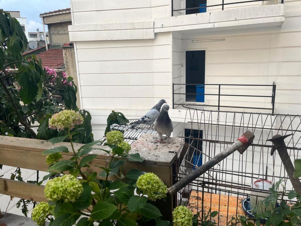 Central Apartment Kadikoy Terrace Bbq Close 2 Block Ferry Bull Metro Nighlife Istanboel Buitenkant foto